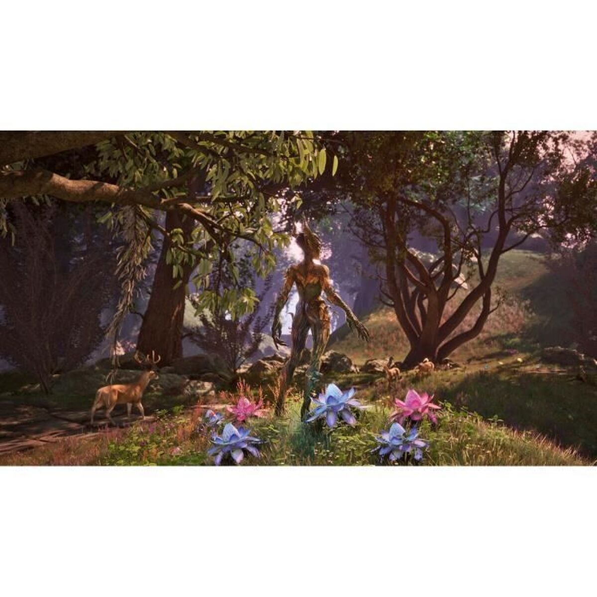 Console Portatile Microsoft